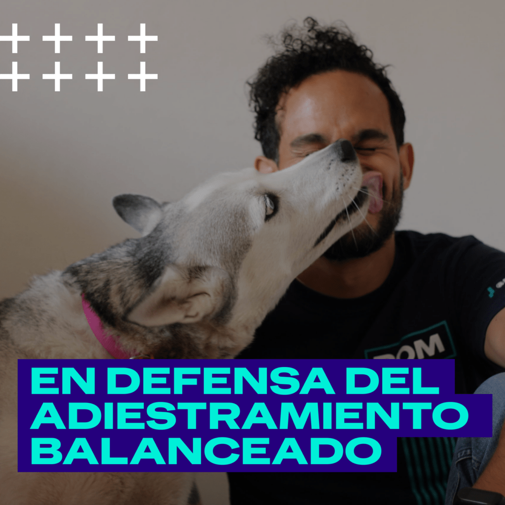 En defensa del adiestramiento balanceado