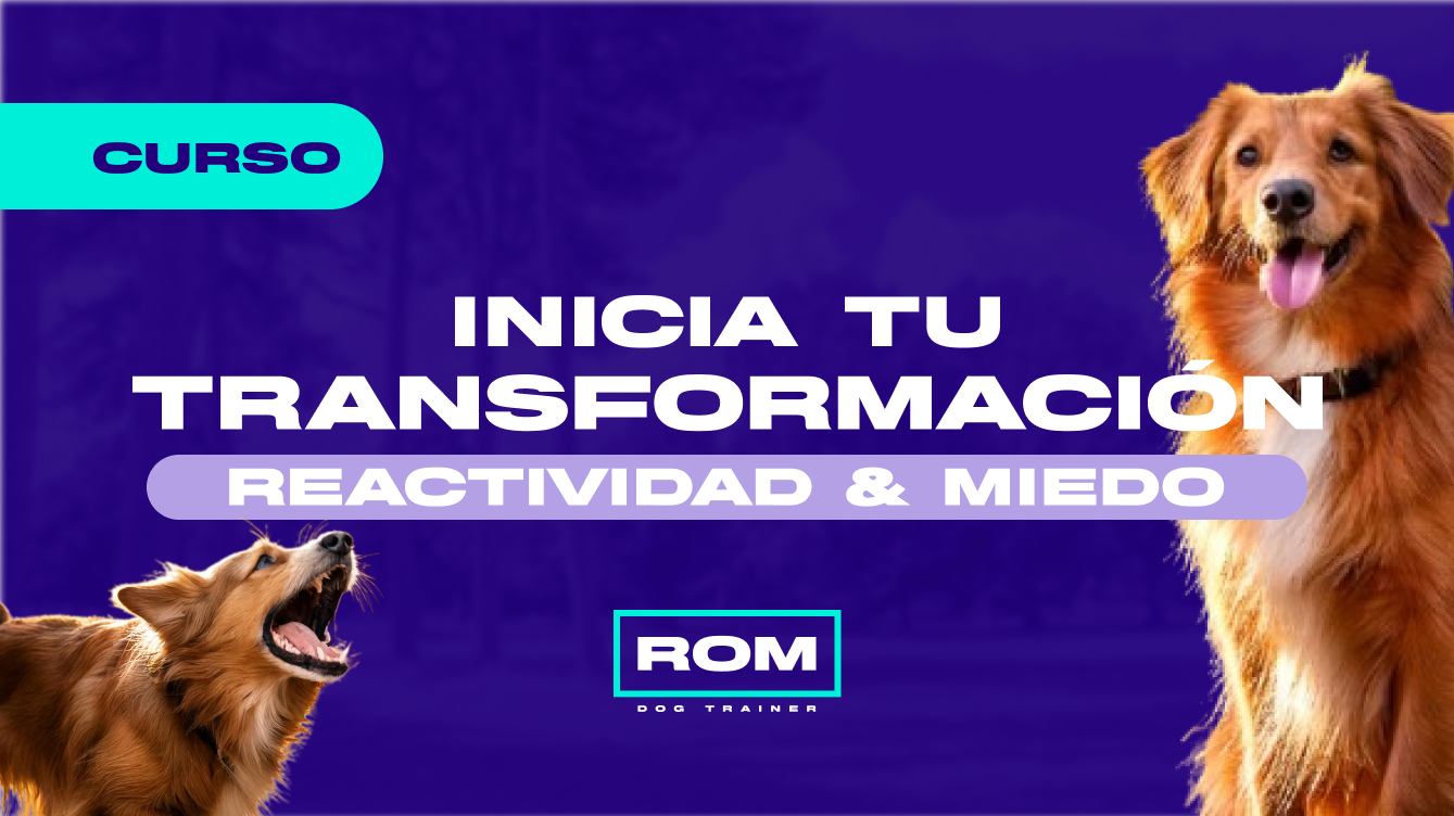 Inicia tu Transformación